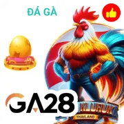 g666 Game 11